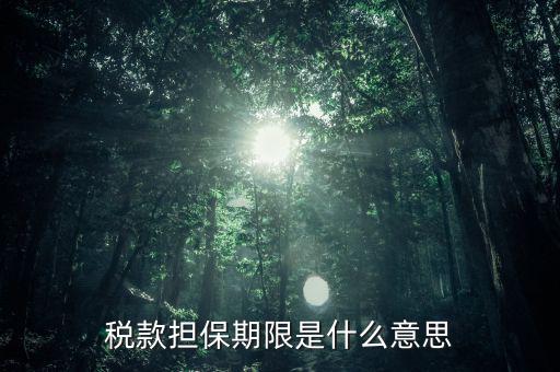 納稅擔(dān)保人什么意思，稅款擔(dān)保期限是什么意思