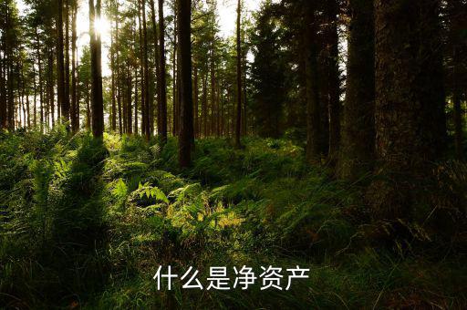 什么凈資產(chǎn)稅，什么是凈資產(chǎn)