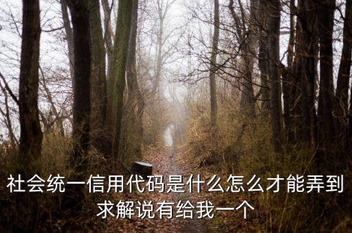 社會(huì)統(tǒng)一信用代碼是什么怎么才能弄到求解說(shuō)有給我一個(gè)