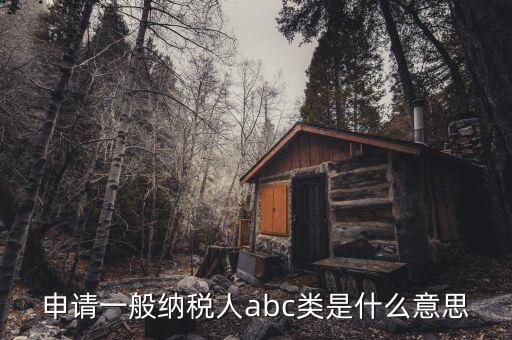 稅務(wù)等級(jí)b是什么意思，企業(yè)所得稅A類(lèi)和B類(lèi)的區(qū)別是什么
