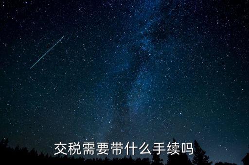 交稅需要帶什么手續(xù)嗎