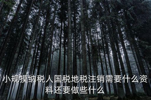 國地稅注銷需要什么，小規(guī)摸納稅人國稅地稅注銷需要什么資料還要做些什么