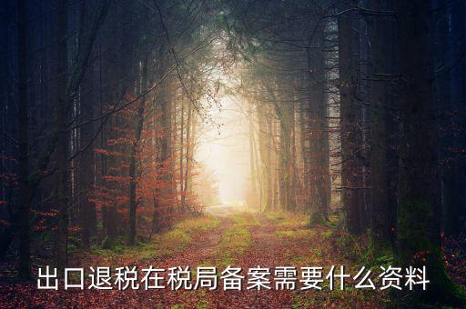 出口退稅備份什么格式，出口退稅單證備案
