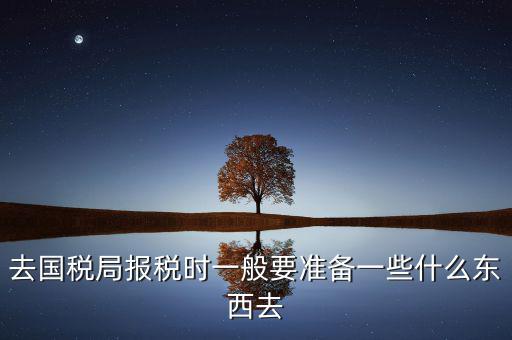去國(guó)稅局都是帶什么東西，去國(guó)稅定稅要帶哪些東西啊我暈倒了以前從來(lái)沒(méi)定過(guò)