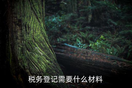 稅務(wù)辦理需要什么東西，辦理稅務(wù)登記證都需要帶什么東西