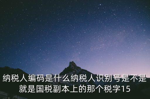 納稅人編碼是什么納稅人識(shí)別號(hào)是不是就是國稅副本上的那個(gè)稅字15