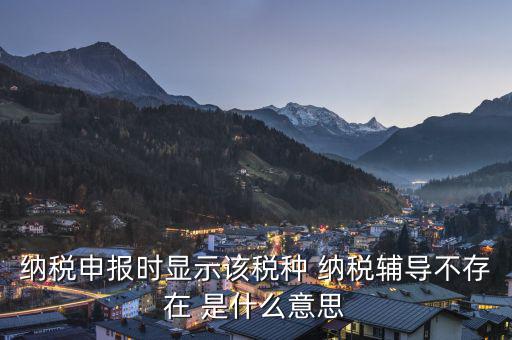 納稅輔導(dǎo)是什么意思，納稅申報時顯示該稅種 納稅輔導(dǎo)不存在 是什么意思