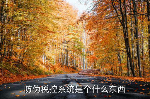 防偽稅控一體化什么時(shí)候，營改增后漢字防偽企業(yè)抄報(bào)稅時(shí)需要使用什么設(shè)備