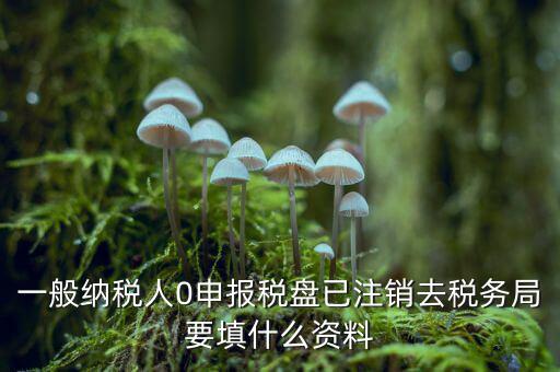 注銷金稅盤需要帶什么資料，請問注銷稅務登記需要提供哪些資料