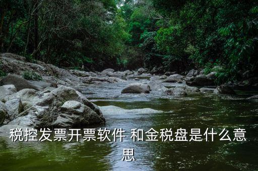 稅控開票軟件什么意思，稅控發(fā)票開票軟件 和金稅盤是什么意思