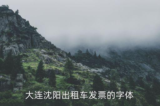 大連停車(chē)場(chǎng)發(fā)票什么樣，大連增值稅普通發(fā)票真?zhèn)卧趺床樵?xún)