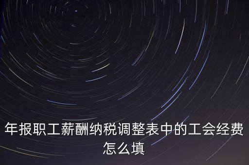 年報(bào)職工薪酬納稅調(diào)整表中的工會經(jīng)費(fèi)怎么填