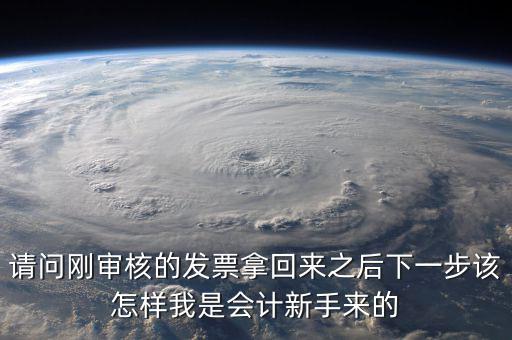 發(fā)票核定完之后接下來做什么，請問剛審核的發(fā)票拿回來之后下一步該怎樣我是會計新手來的
