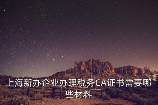 2014年7月份上海稅務局還需要審什么證，上海新辦企業(yè)辦理稅務CA證書需要哪些材料