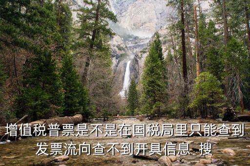增值稅普票是不是在國稅局里只能查到發(fā)票流向查不到開具信息  搜