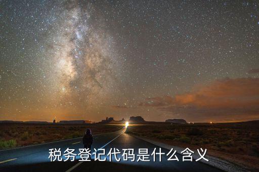 國稅發(fā)票認證登錄代碼是什么，國稅局發(fā)票軟件里用戶代碼和密碼是什么