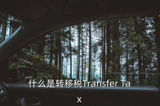 什么是跨地區(qū)稅收轉(zhuǎn)移企業(yè)，什么是轉(zhuǎn)移稅Transfer Tax