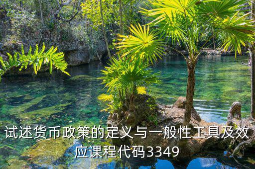 政策功能編碼是什么，試述貨幣政策的定義與一般性工具及效應(yīng)課程代碼3349