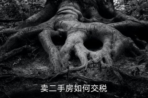 個稅手續(xù)費什么時候反還，我中獎了打了錢過去還說要交個人所得稅才能領(lǐng)獎是真的嗎