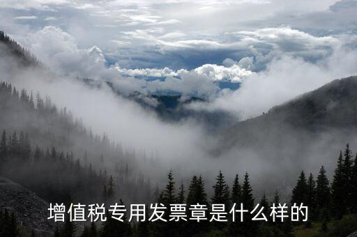發(fā)票專用章什么樣子，增值稅專用發(fā)票章是什么樣的