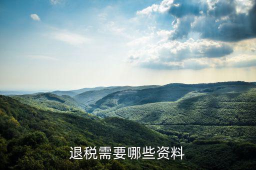 退抵稅都需要什么資料，退抵稅款申請(qǐng)需要什么資料