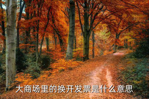換開完稅憑證什么意思，什么是完稅憑證啊