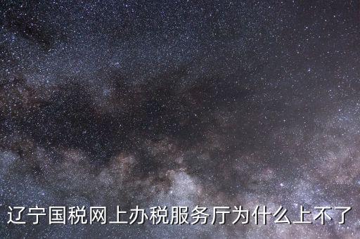 遼寧國稅網上辦稅服務廳為什么上不了