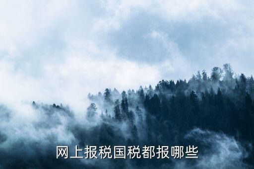 國稅申報(bào)什么，國稅局是報(bào)什么稅