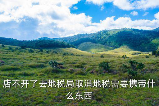 去地稅作廢申報需要帶什么手續(xù)，去地稅局辦撤回個人所得稅申報用帶什么