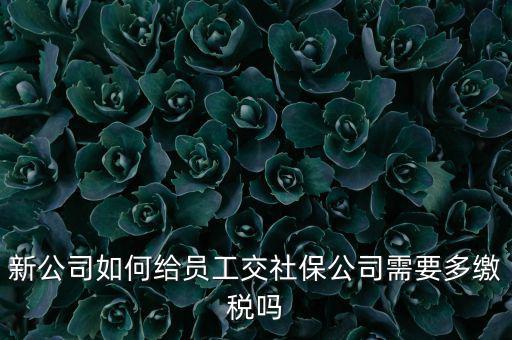 公司交社保要交什么稅，企業(yè)為員工交養(yǎng)老保險(xiǎn)要不要交稅的