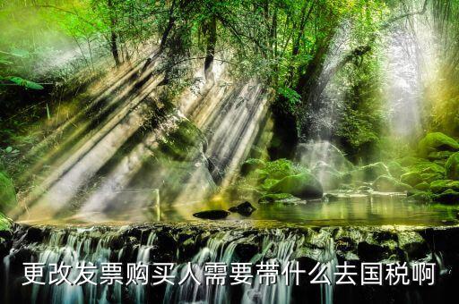 更改發(fā)票價格需要帶上什么東西，變更發(fā)票購買人需要帶什么東西去稅務局