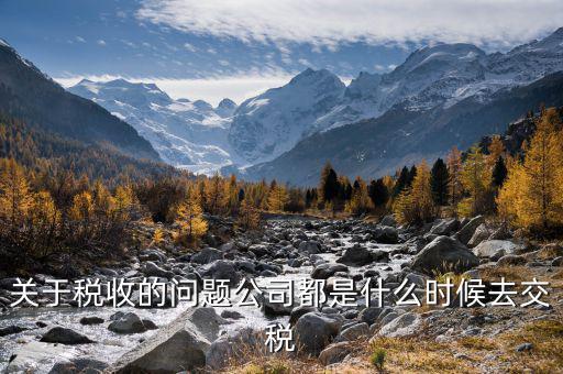 每個(gè)什么時(shí)候交稅，關(guān)于稅收的問(wèn)題公司都是什么時(shí)候去交稅