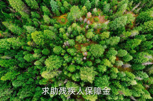 殘疾人保障金什么意思，求助殘疾人保障金