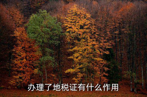 地稅局作用是什么，地稅局給我們帶來了哪些好處