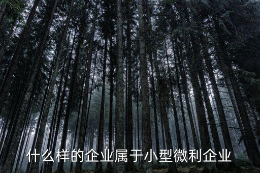 什么屬于小微企業(yè)，小微企業(yè)是什么
