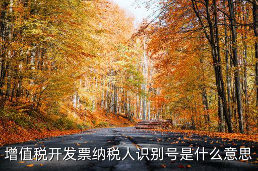 增值稅開發(fā)票納稅人識別號是什么意思