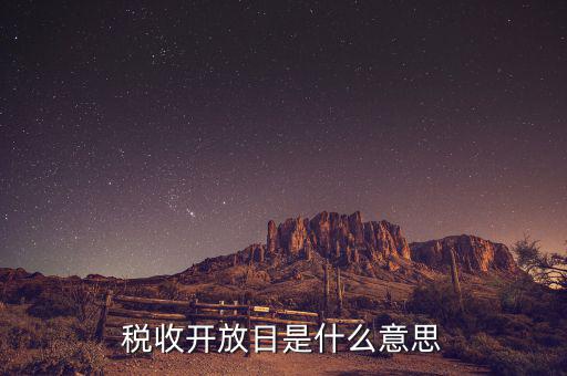 國稅開放日是什么意思，稅收開放日是什么意思