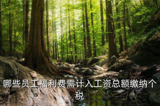 什么樣的福利費要交個稅，什么樣的福利費不需要交納個人所得稅呢