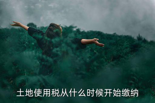 城鎮(zhèn)土地使用稅什么時候交，房地產(chǎn)開發(fā)企業(yè)繳納城鎮(zhèn)土地使用稅的時間是多久