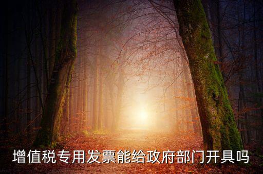 什么內(nèi)容的發(fā)票不可以給政府部門(mén)，增值稅專用發(fā)票能給政府部門(mén)開(kāi)具嗎