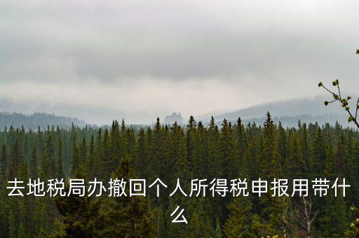 去地稅局辦撤回個(gè)人所得稅申報(bào)用帶什么