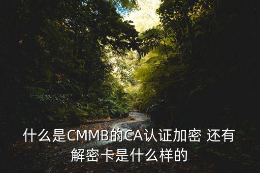 東莞ca證書密碼是什么意思，機(jī)構(gòu)代碼的ca證書的PIN碼是什么我用CA證書登陸國稅時(shí)提示詳細(xì)