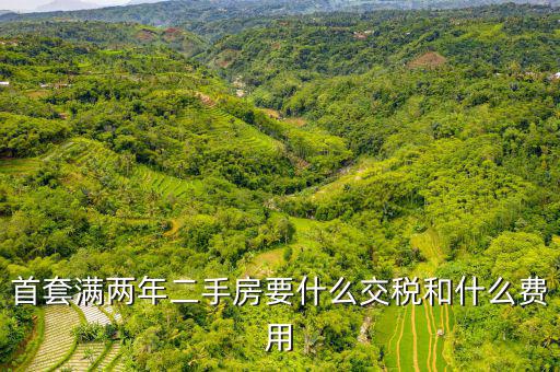 賣滿2年的房子交什么稅，商品房滿2年了出售的話需要交哪些稅詳細(xì)點