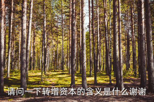 什么是利潤轉(zhuǎn)增資，什么叫轉(zhuǎn)增資本通俗一點越白話越好