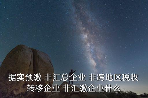 據實預繳 非匯總企業(yè) 非跨地區(qū)稅收轉移企業(yè) 非匯繳企業(yè)什么