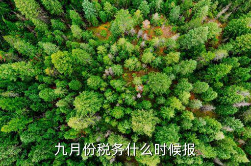 2017年9月份的稅什么報(bào)完，誰知道今年9月的個(gè)人所得稅怎么報(bào)怎么來計(jì)算的