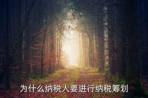 為什么要進(jìn)行稅收規(guī)劃，為什么納稅人要進(jìn)行納稅籌劃