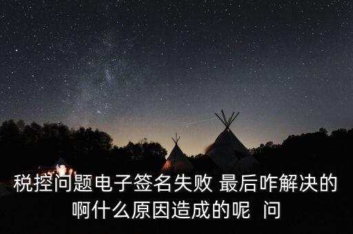 什么是稅控簽名，報稅時數(shù)字簽名是甚么意思
