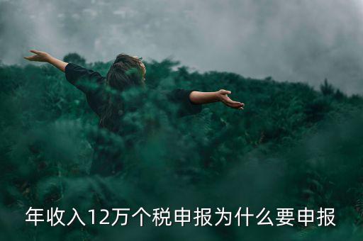 為什么12萬個稅申報表，12萬以上個人所得稅申報是什么意思