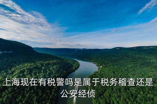 稅警機(jī)制辦公室干什么，上?，F(xiàn)在有稅警嗎是屬于稅務(wù)稽查還是公安經(jīng)偵